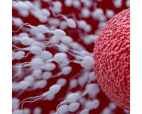 兰州助孕包成功机构|2026
安徽供卵试管医院排名,附成功率及费用介绍