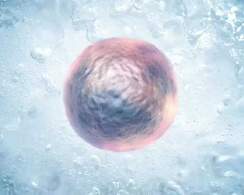 备孕期间要注意什么_育儿教育的经典名句,济南姐妹在做试管婴儿助孕时应该要