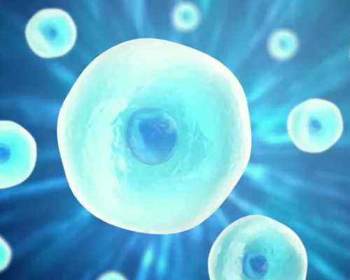 地下供卵哪家靠谱_供卵中介排名,怎么可以错过|北京供卵试管机构_国内哪里有