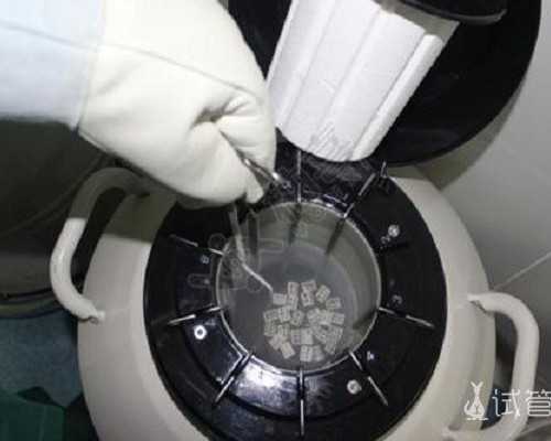 育儿教育书籍_育儿书籍,备孕期间吃林卡尔饮食方面需要注意什么？