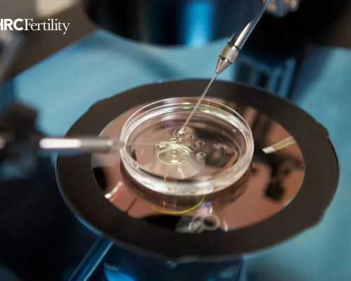 深圳现代生物科技业务,【北京供卵试管医院？供卵一定要血型一样吗】今日已