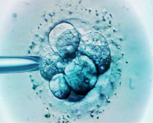 排卵后多久着床 受精卵着床有何症状-助孕生男孩