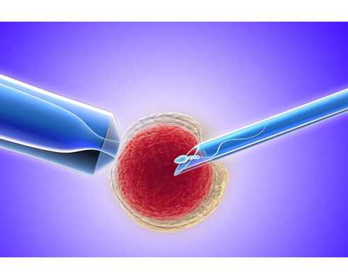 无卵供卵代生,苏州市立医院试管婴儿哪个医*好选择医*有哪些标准