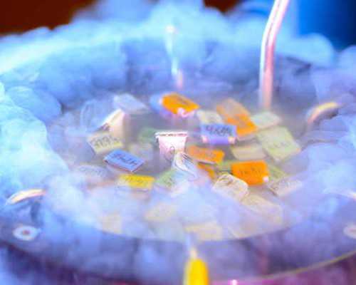 早教感统课程教案？孩子有必要上早教么