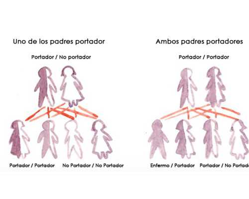 哪家可以做供卵_哪有供卵中心,北京供卵试管医院名单大全附北京供卵试管费用