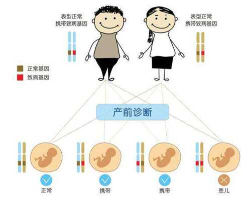 连测两次才敢分享,给卵巢衰退期姐妹们打气 正规代孕服务中心