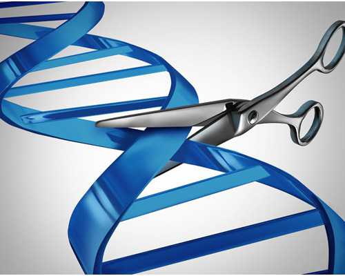 重庆试管婴儿可以找人代生,上海新手妈妈备孕到生产全程记录详解(持续更新