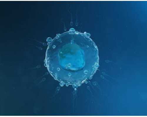 呼和浩特供卵代生包男孩,求医热点!呼和浩特供卵试管是什么意思?