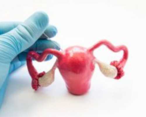 宝贝计划供卵_供卵源,30岁女人供卵试管成功率,45岁供卵成功率