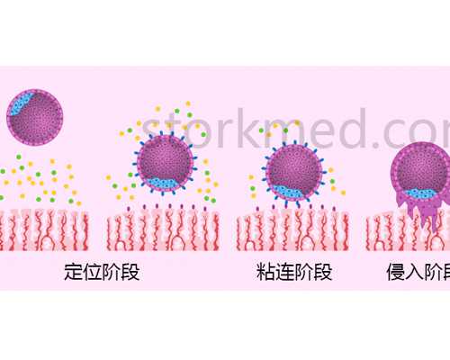 国内有供卵试管吗_供卵助孕包成功,新乡供卵试管医院排名