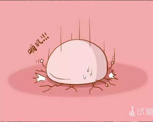 怀孕的前兆_育儿知识大全分享,黑龙江2026年试管医院排名最好的有哪几家,11家