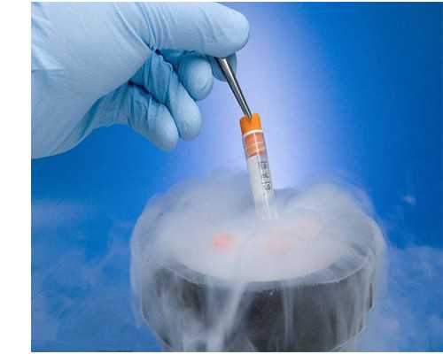 深圳现代生物科技业务,单角子宫的女性如何通过美国试管婴儿技术成功怀孕?