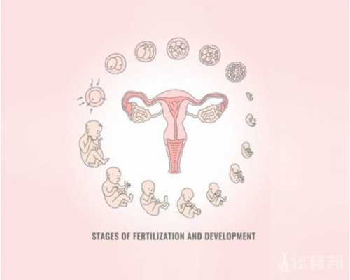 呼和浩特代生无卵试管生子,呼和浩特供卵三代试管婴儿包生男孩价格大概多少