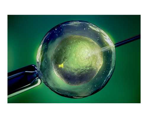 供卵公司排名_国外供卵医院,【到哪里找供卵需要做供卵试管婴儿】大家都说我