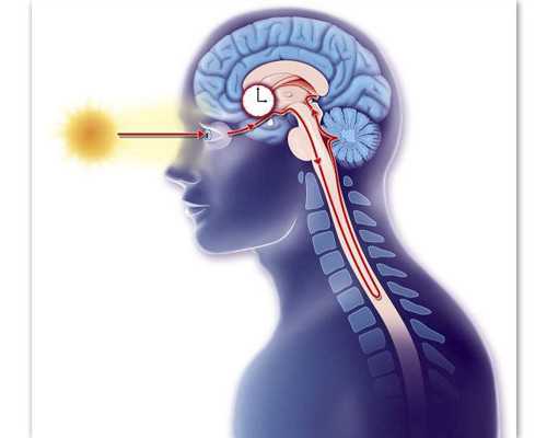 怀孕拉肚子怎么办-人工助孕服务