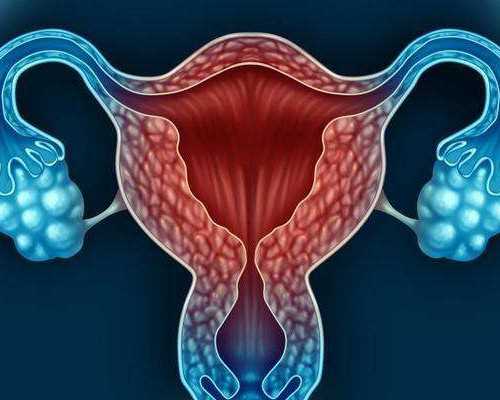 呼和浩特试管怀孕**的公司（呼和浩特其他试管医院对比）