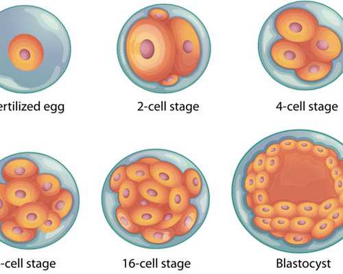 内蒙古试管婴儿定点医院-内蒙古自治区人民医院试管婴儿！