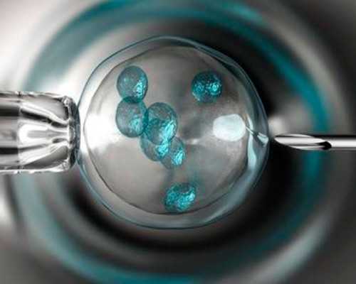 供卵机构是真的吗_供卵顺利生下宝宝,【北京做供卵试管的医院有供卵试管交流