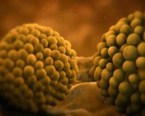 大龄女做供卵试管,江西做三代试管多少钱