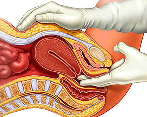 供卵有被骗了吗_试管供卵助孕,我想咨询做供卵的人多吗（天津供卵费用）