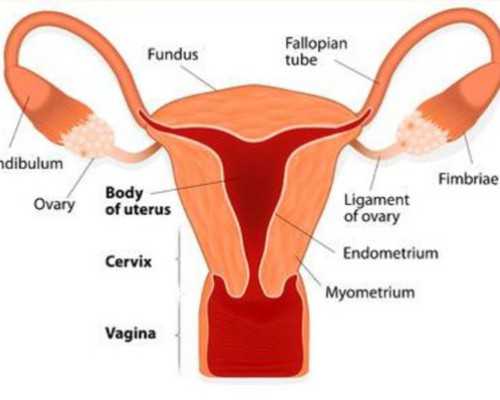 国内私立供卵医院_助孕供卵多少钱,泰安供卵试管婴儿,泰安供卵三代试管婴儿多