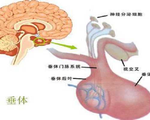 供卵价格多少钱_供卵试管违法吗,宜春三代供卵供卵单身试管医院排名？附详细