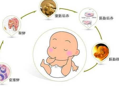 代生产子,2026茂名比较好的三代试管医院排名