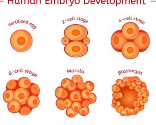 呼和浩特三代试管哪家医院好?