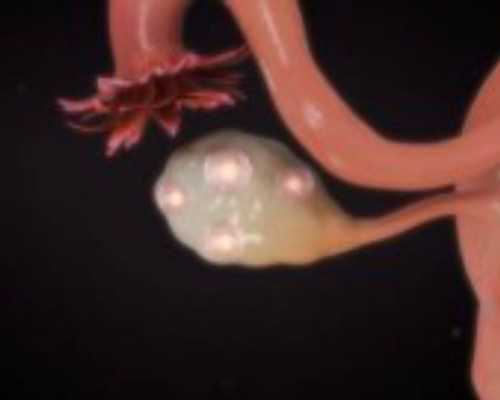 河北代生儿子,北京哪里有供卵三代试管辅助妊娠机构？_6个月四维彩超医生说宝