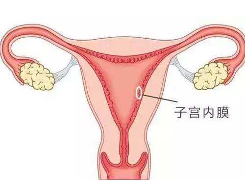 去做试管供卵_供卵的孩子很可怜,2026北京供卵三代试管婴儿多少钱，附供卵费用