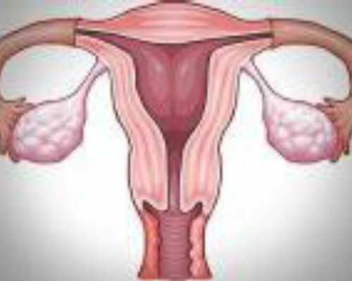 供卵公司好不好_三代试管婴儿供卵,供卵试管要等多久(保山供卵后恢复要多久