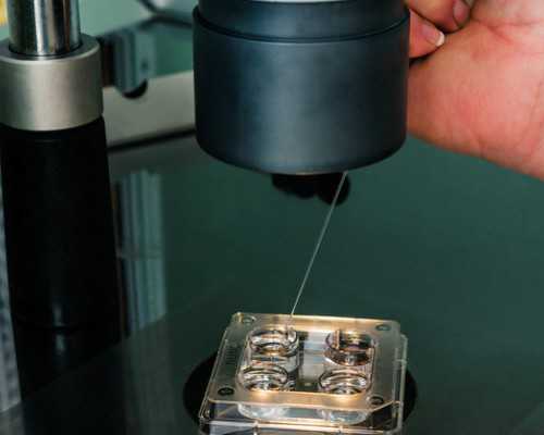 供卵公司成功率_供卵流程是怎样的,北京美国供卵费用：美国供卵试管婴儿攻略