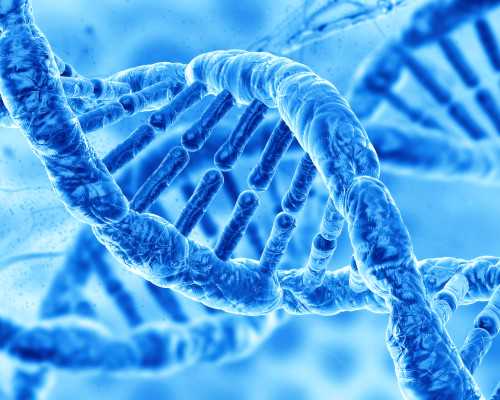 代生宝宝包儿子,试管婴儿第三代技术，遗传病克星_习惯性流产试管婴儿成功妈