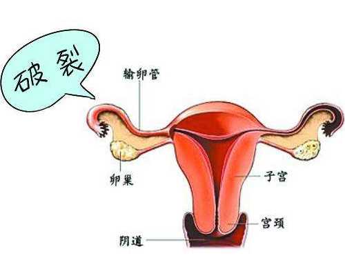 添禧助孕公司在哪|南京供卵试管助孕正规机构哪家技术最好?