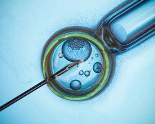 8c2胚胎怎么样8c2和9c2的胚胎哪个好-供卵试管血型