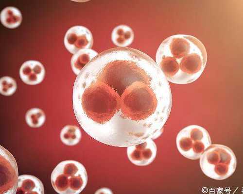 怀孕一个月肚子隐隐痛-供卵生男孩