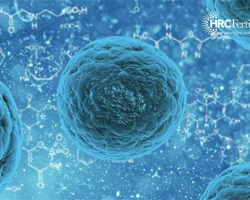 供卵生男孩_供卵自怀多少钱,山大生殖医院供卵试管(山大生殖供卵成功短租)