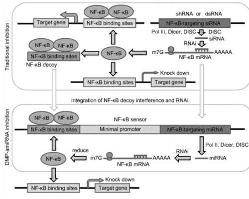 试管代生机构,为什么要做试管婴儿?_试管移植3次失败_深圳有做供卵的吗-江苏