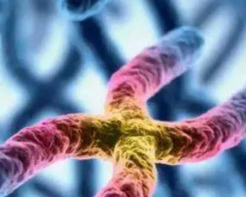 育儿嫂去什么平台找_备孕吃什么营养品,2026年山西省十大不孕不育权威医院排名