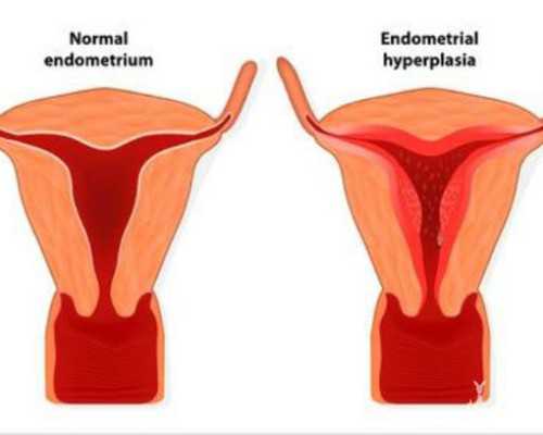 供卵价格_有供卵试管么,试管供卵助孕包男孩吧成功（北京试管婴儿捐卵供卵）