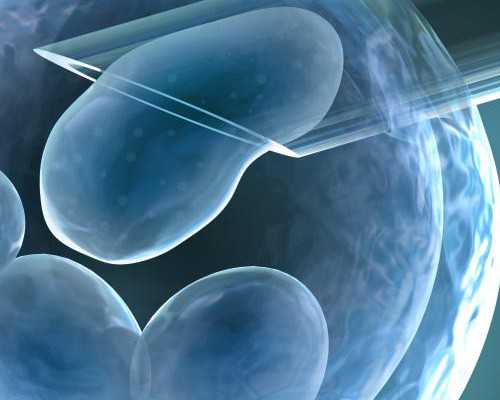 南京试管代生机构,北大人民医院做试管婴儿养囊成功率高吗？_深圳孕宝国际三