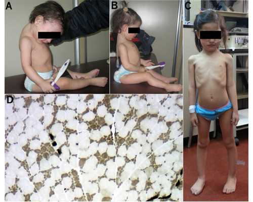 代生子选性别,内蒙古试管婴儿医院哪里比较好,主要有哪些医院