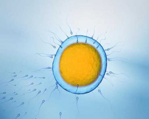 2026找女人代生子价格,女性不孕治疗费用贵吗女的查不孕不育查哪里-上海供卵试