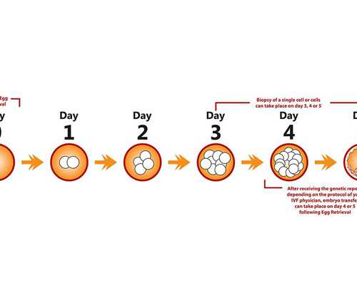 备孕做什么检查女_怀孕前的征兆有哪些,太瘦的女人不容易怀孕 骨感美人如何备