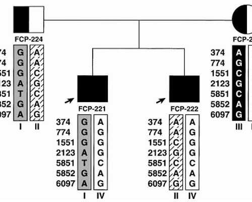 幼师育儿心得_育儿嫂和月嫂区别,喜讯!杭州仁德妇产医院荣获不孕不育国际战