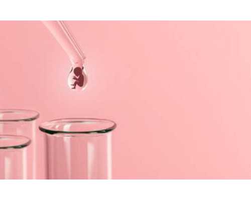 代生子的女人有吗,弱精做人授好还是直接做试管好-上海供卵试管公司有哪些