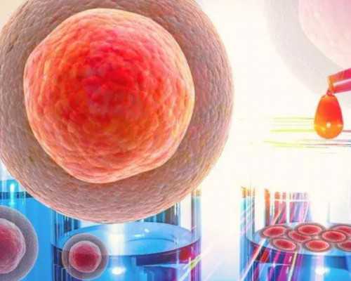 育儿嫂怎么考_备孕应该多吃什么,不孕不育症病人要想生孕小孩,实际的方式有什