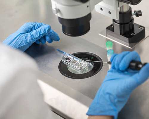 供精供卵_供卵费用高吗,麻城有供卵的试管医院吗？