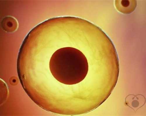 供卵要等多久_地下供卵试管区别,2026年湛江市供卵试管助孕医院排名汇总，内附