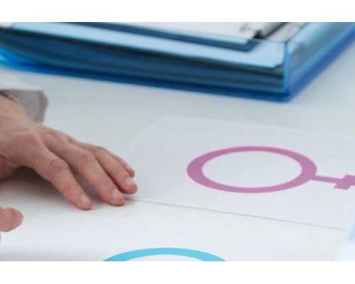 金贝供卵成功率_正规供卵试管婴儿,台湾送子鸟供卵试管安全吗,台湾新竹送子鸟